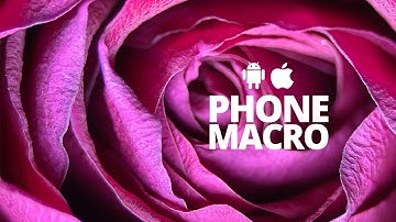 Phone Macro Photography | Lenses for iPhone & Android