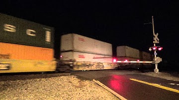 NS 7684 leads the NS 23G