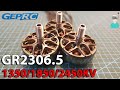 Geprc GR2306.5 1350/1850/2450KV Motors Thrust Test