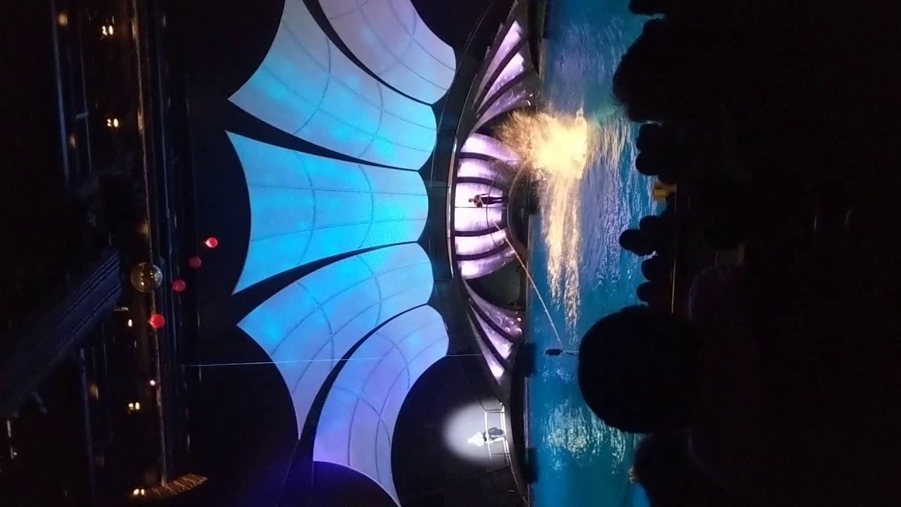 Aquarium Sea Lion show(1) YouTube