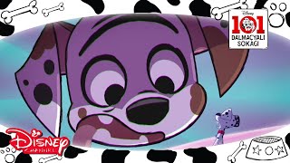 101 Dalmaçyalı Sokağı I Çamurlu Yavrular  I Disney Channel Türkiye