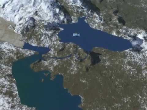 Video: Ledeniške Teleta Pred Kajakaši
