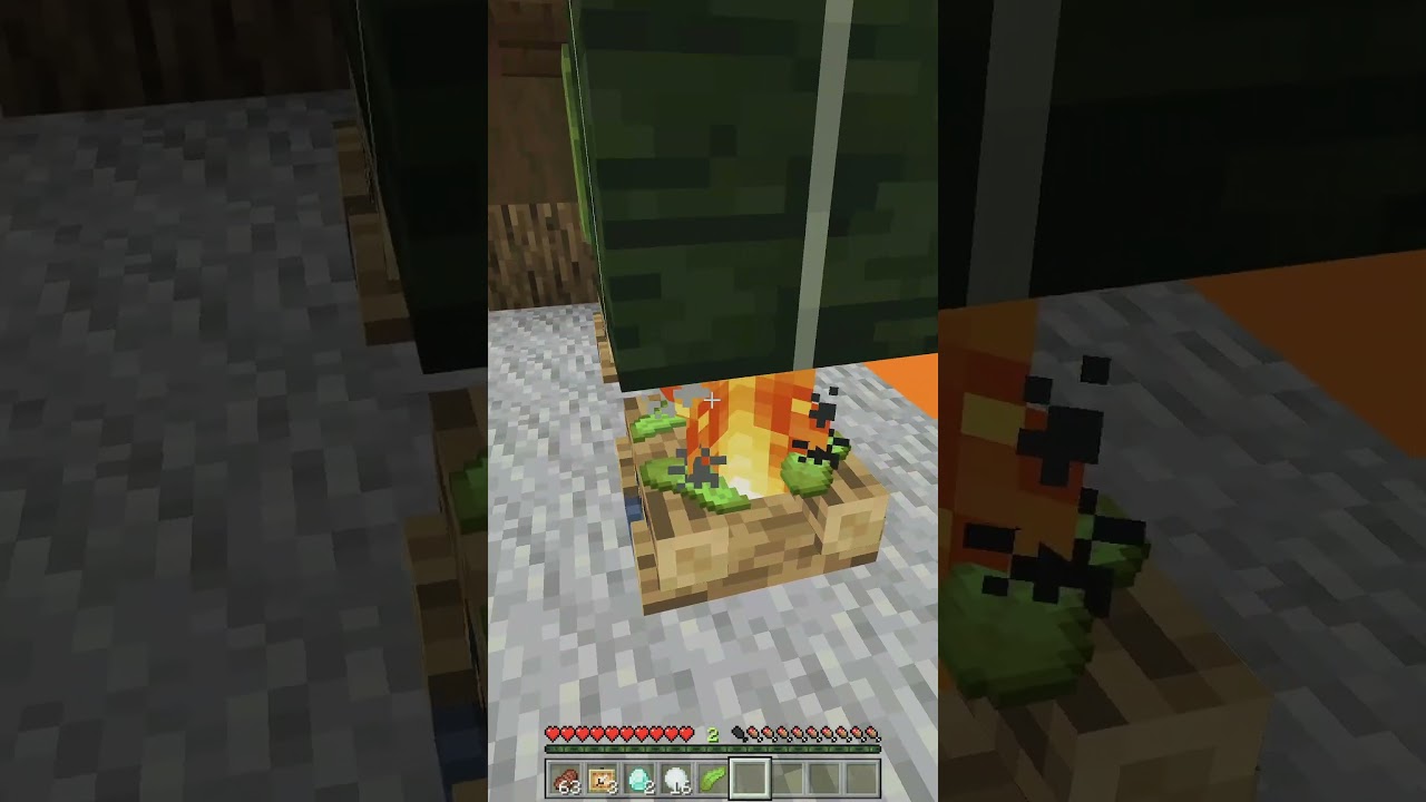Did you know you could cook kelp blocks on a campfire in #minecraftbedrock