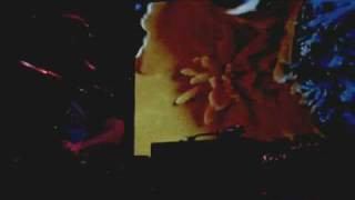 Cut Chemist - The Garden