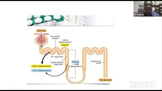 Webinar on “Rational Use of Oral Antidiabetic Drug”