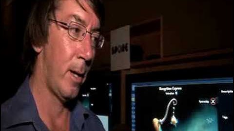 Spore Will Wright Interview Part 2