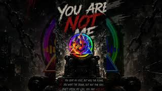 YOU ARE NOT ME