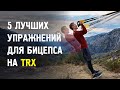 5 лучших упражнений для бицепса на петлях TRX