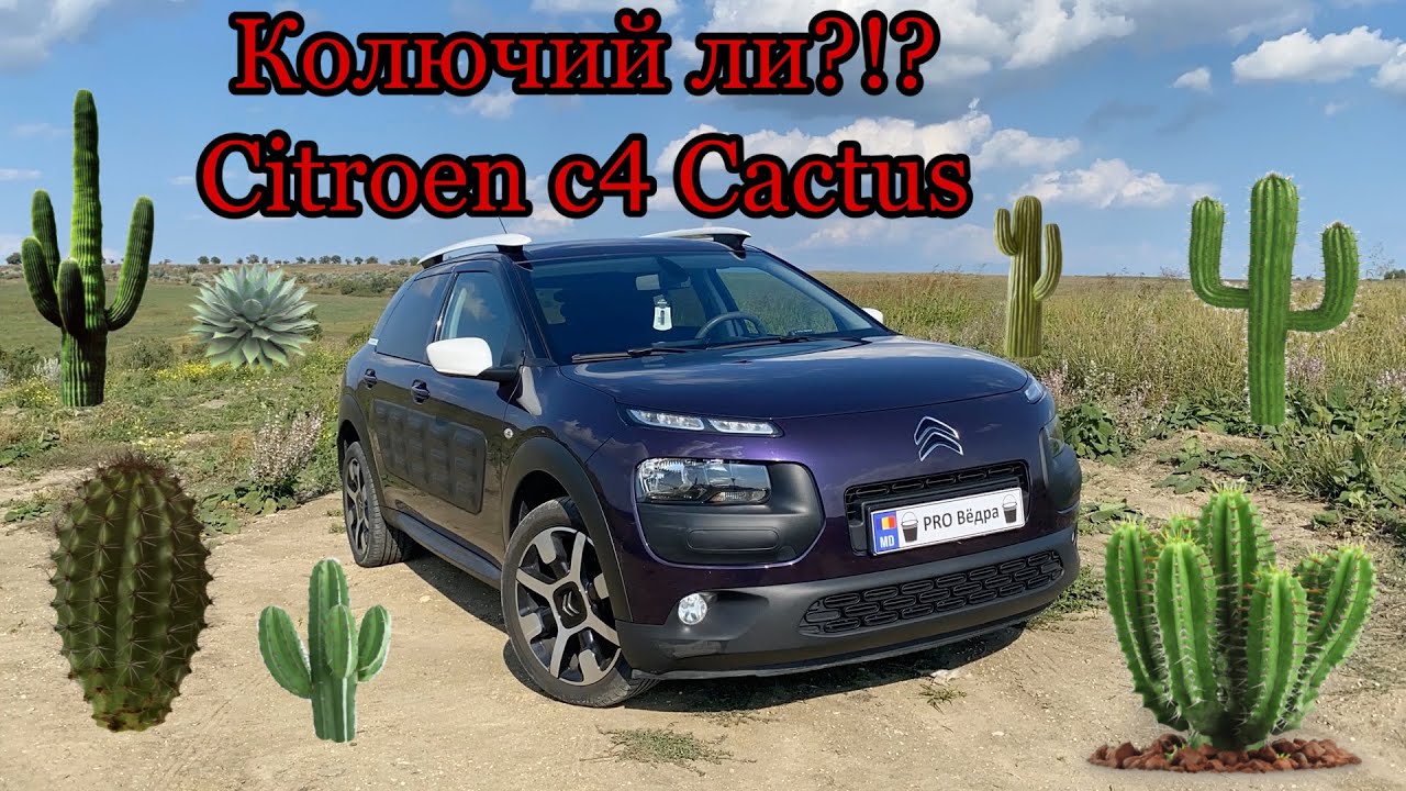 Тест Драйв Citroen c4 Cactus
