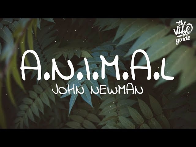 John Newman - A.N.i.M.A.L