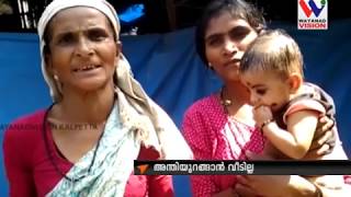 WAYANAD VISION NEWS 8.30 PM November 25.11.2018 screenshot 1