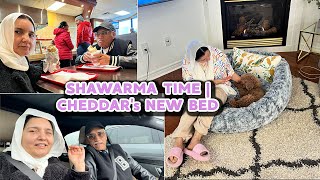 BEST BREAKFAST/SHAWARMA TIME | CHEDDAR's NEW BED 🛌