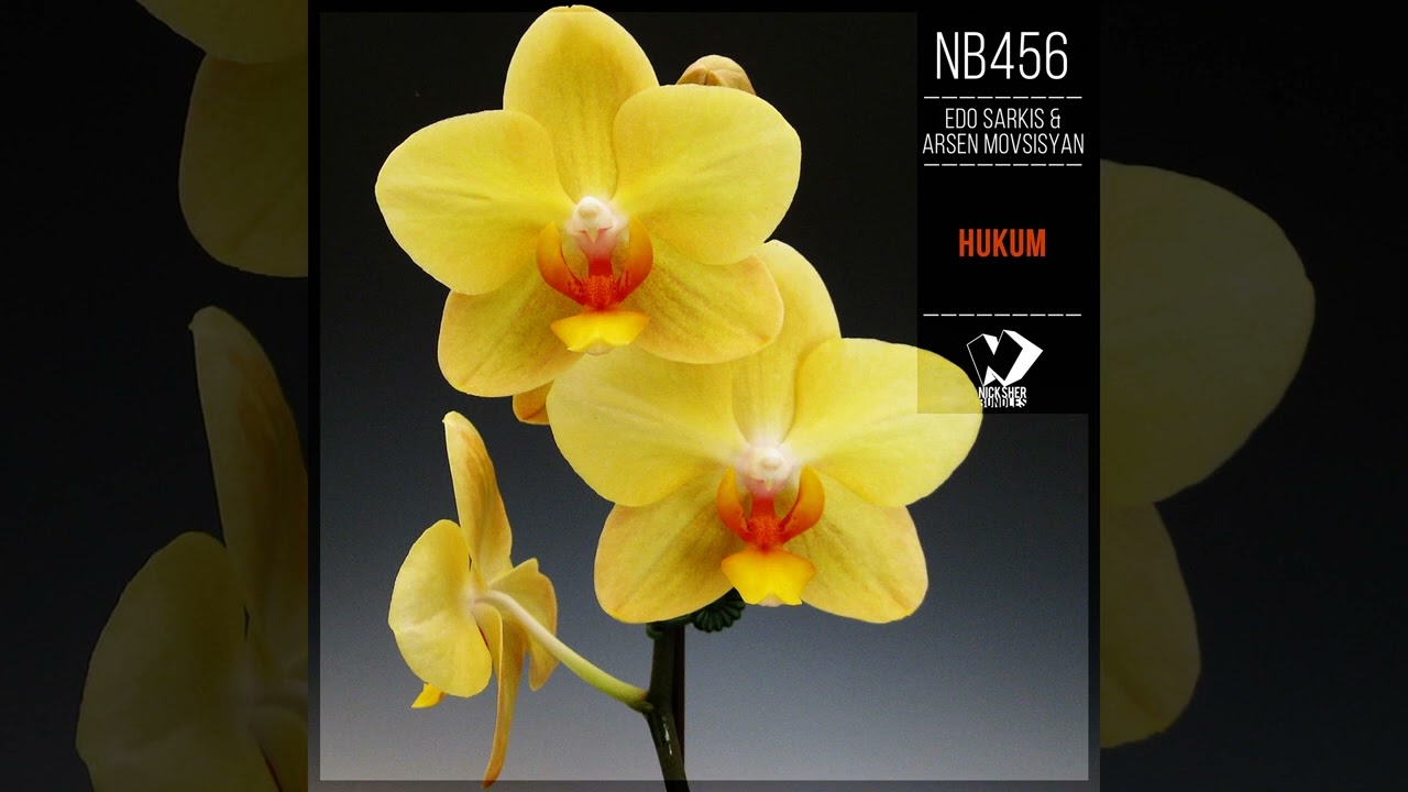 Edo Sarkis & Arsen Movsisyan - Hukum [Dance Pop Single] 2026