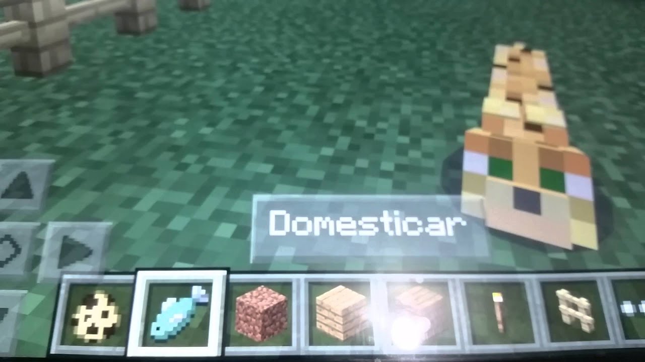 Cómo domesticar ocelotes o gatos de minecraft pe - YouTube