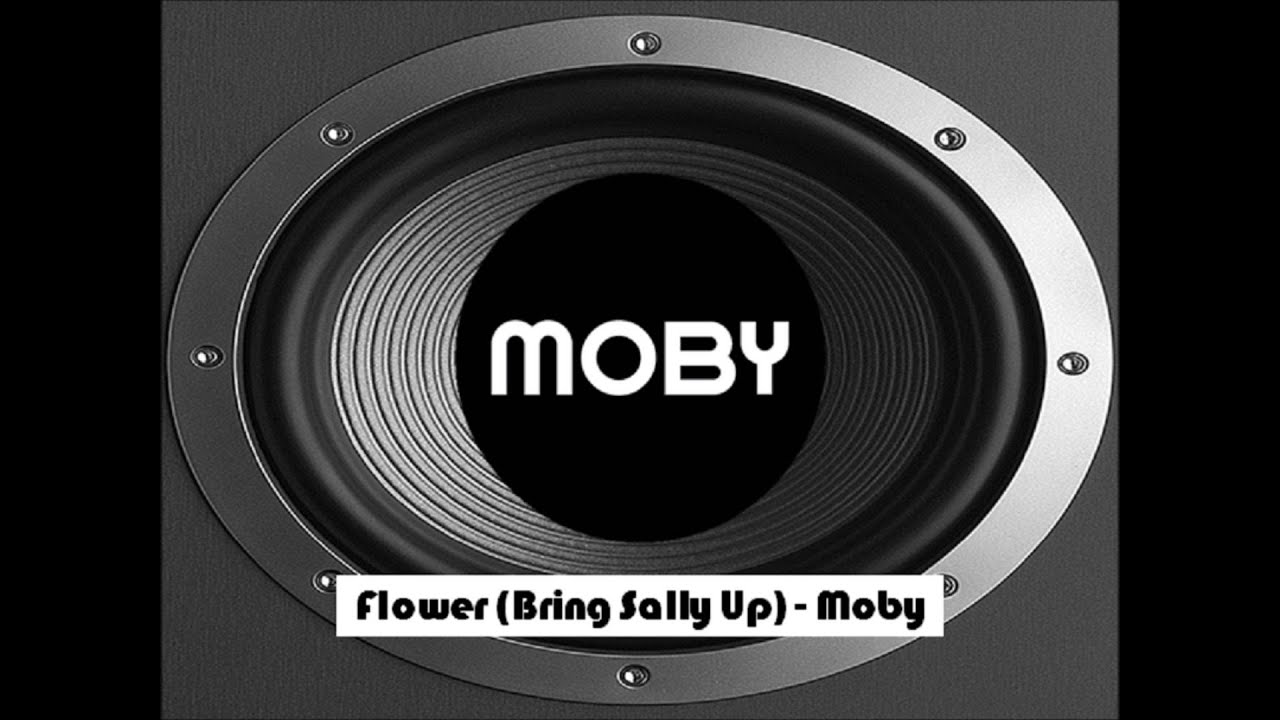 Flower - Moby - Reversed