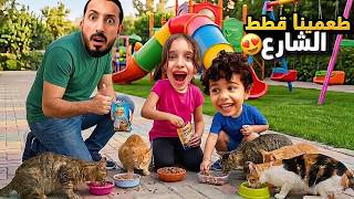 عمل خير بسيط بس أجره كبير ❤️ طعمينا قطط الشوارع 😍 مارية وكفاح
