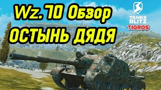 картинка: Wz.70 Обзор Новый топ ветки польских ПТ САУ /// Tanks Blitz 