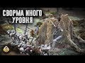 Репорт | Warhammer 40k | Grey Knights VS Astra Militarum Cadia | 1750 pts