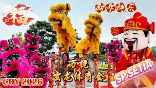 CNY 2026 | Explosive Acrobatic Lion Dance by Xuan Long 🦁🔥 | 雪州万挠玄龙体育会