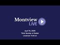 Montview live 11am  april 14 2024  guest preacher rev dr doug gay