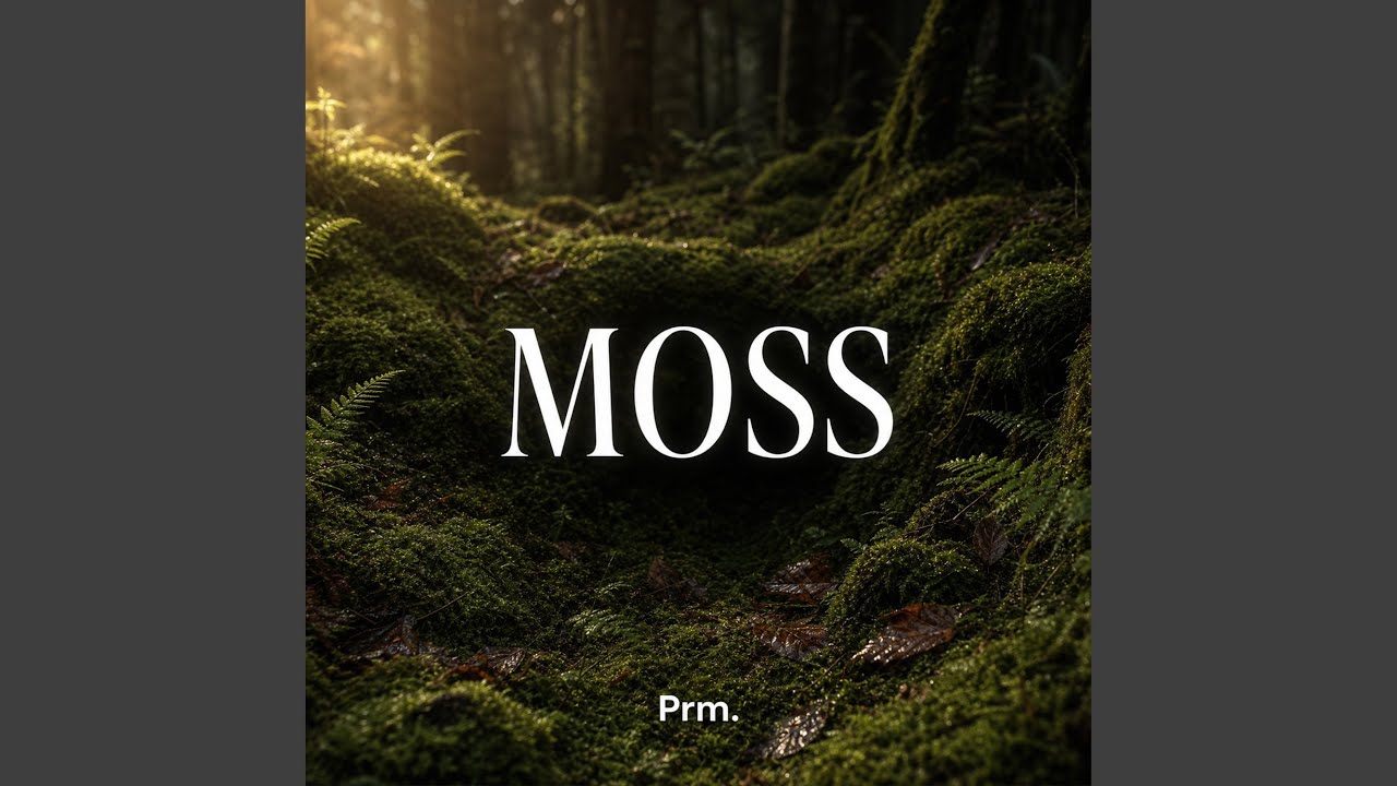 Assista a Moss no YouTube Assista a Moss no YouTube