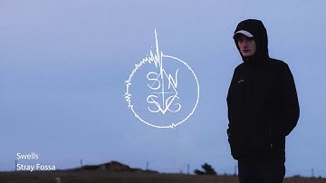 Stray Fossa - Swells