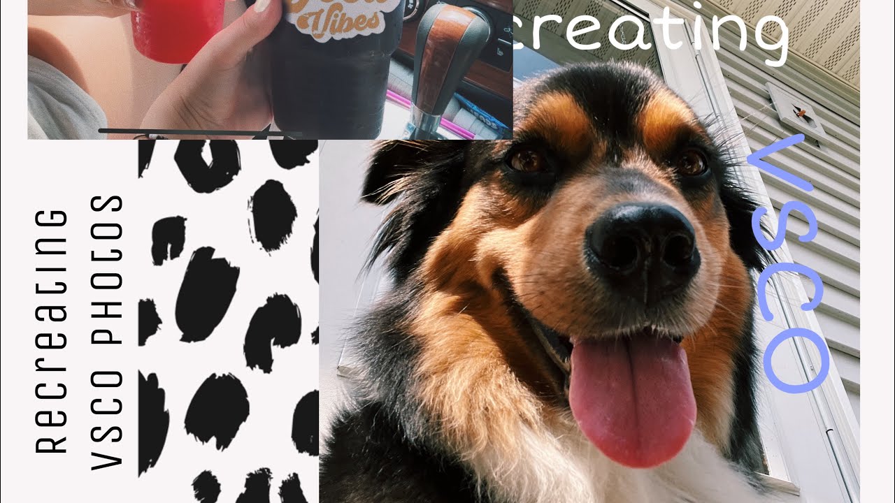 Recreating VSCO photos to get in the summer mood!