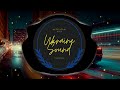 💙💛 alyona alyona & SKYLERR - Лети (BID0NCI0N Remix) | Українські хіти