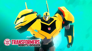 Bumblebee
