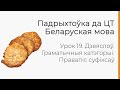 БЕЛАРУСКАЯ МОВА | ЦТ-2022. Урок 19. Дзеяслоў. Граматычныя катэгорыі. Правапіс суфіксаў