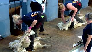 Cneifio Dosbarth Menywod - Rhagras 2 | Women's Shearing - Heat 2