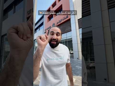 اكثر قط كسول في مقهى القطط 