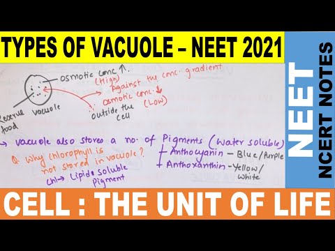 Vacuole Structure & Functions in Hindi | Sap Vacuole | Contractile V | Food | Gas vacuole | NEET2021