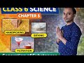 Separation of Substances(पदार्थों का पृथक्करण) Class 6 |NCERT Chapter 5 |सबसे आसान तरीका #science