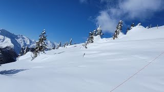 Kicking Horse Skiing 2022