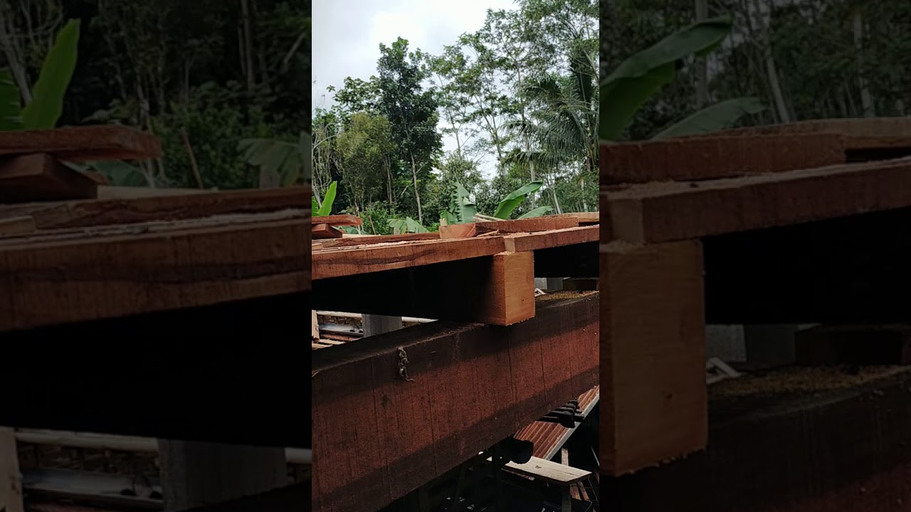 Ganti kandang  ternak ayam  telur menjadi kandang  tingkat  