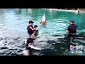 Girls dolphin experience