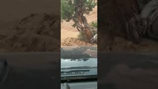 2022 EJS Hell's Gate on Hell's Revenge Trailhead, Moab, UT 4/10/2022