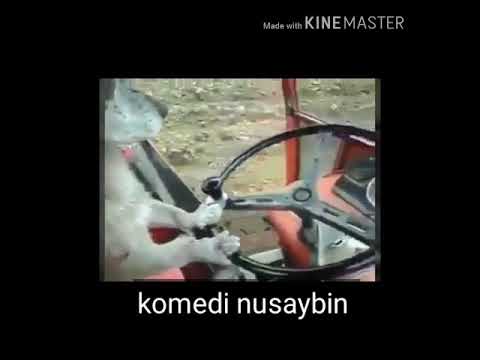 Ma ev ji jine kürkce komedi