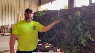 Sasquatch Wrestles The Biggest Redwood Log Yet On His Lt40 Woodmizer Mill