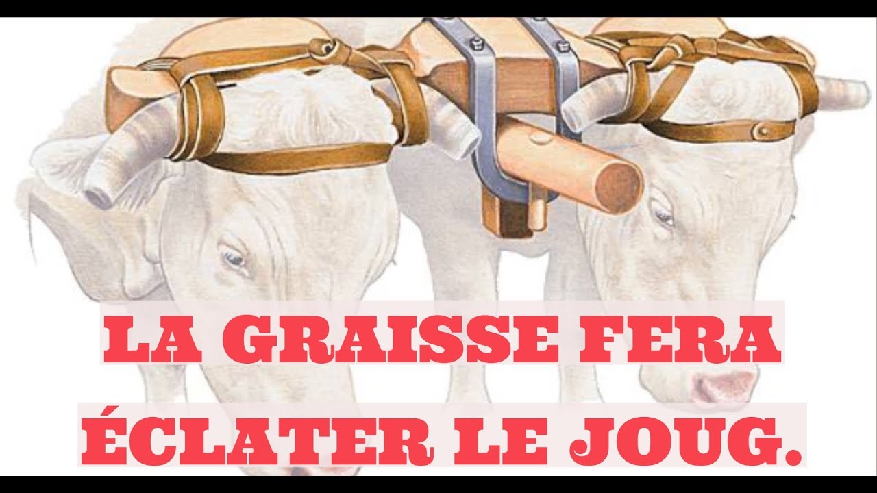 LE SANG DE JÉSUS A FAIT ÉCLATER LE JOUG DE LA MALÉDICTION - YouTube