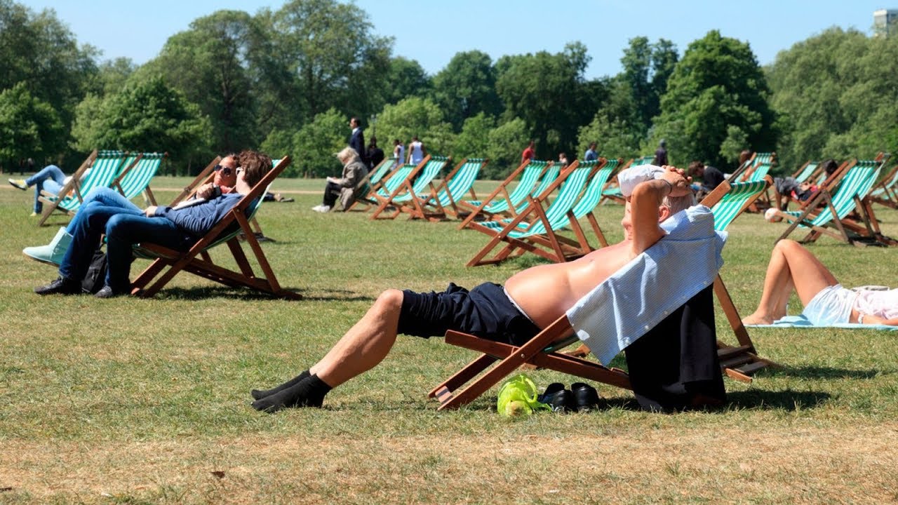 UK weather: Climate crisis to blame for record-breaking temperatures in 2019