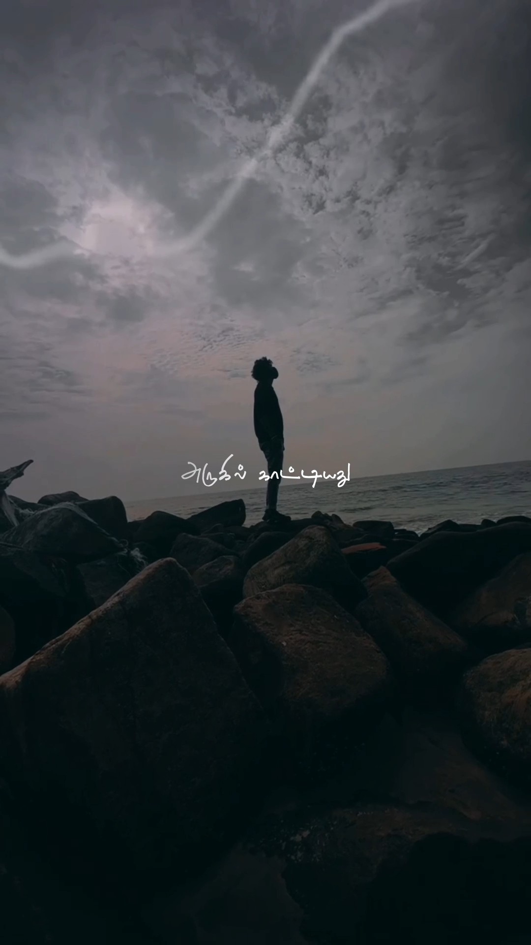 🎼லேட்டஸ்ட் சாங்ஸ்🎼 - ShareChat