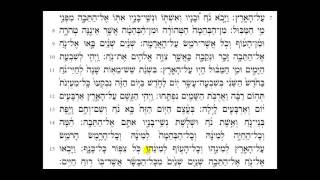 Torah Reading - Genesis Chapter 7 (HD)
