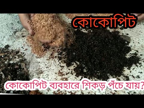 ভিডিও: পিট ব্যবহারের গুরুত্বপূর্ণ বৈশিষ্ট্য