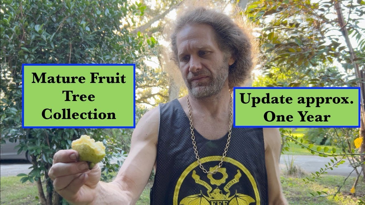 Коллекция зрелых фруктовых деревьев: обновление год спустя