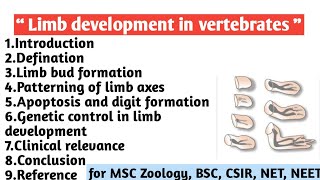 Limb development in vertebrates | limb bud formation | Patterning | Apoptosis | Genetic control