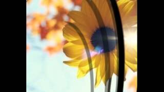 Kiss the Rain - Nice Soft Music - a Gift for Mother's Day screenshot 3