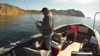 Chignik Alaska Lingcod Fishing