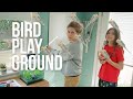 Making a playground for our birds - vlog #299